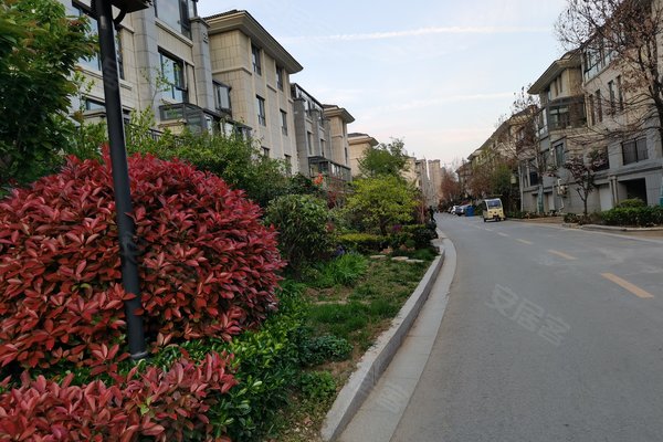 徐州小区 邳州小区 福州路小区 凤凰墅