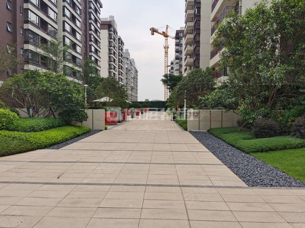 南宁江南沙井大道万科悦江南押二付二 万科悦江南 电梯房 整租 3室 75