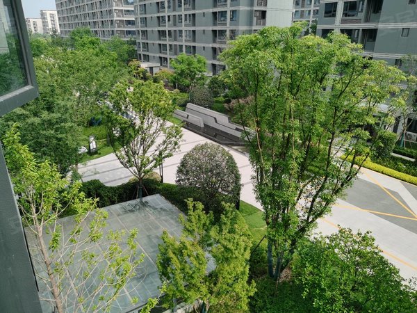 杭州临平乔司新希望美的长粼府新小区,四季青隔壁,全明户型,南北通透