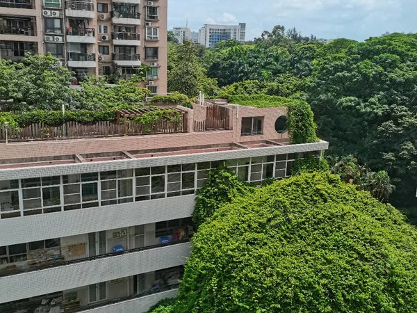 广州天河天河公园顺景台天河公园东门电梯三房二厅出租出租房源真实