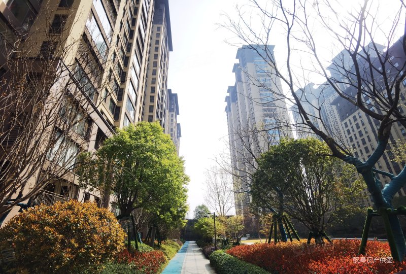 南北通透 急售,建业滨河珑府二手房,100万,3室2厅,2卫,113平米-洛阳