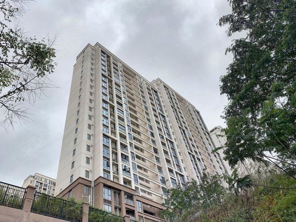 深圳坪山坑梓亚迪三村深圳租房,低价租出,快来看看新增部分低价房源