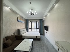 蚌埠蚌山新城区银泰旁 奥园广场公寓 精装修 拎包入住 家电家具齐全出租房源真实图片