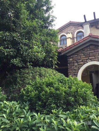 御江南联排别墅 超大花园 光线超足 笋!
