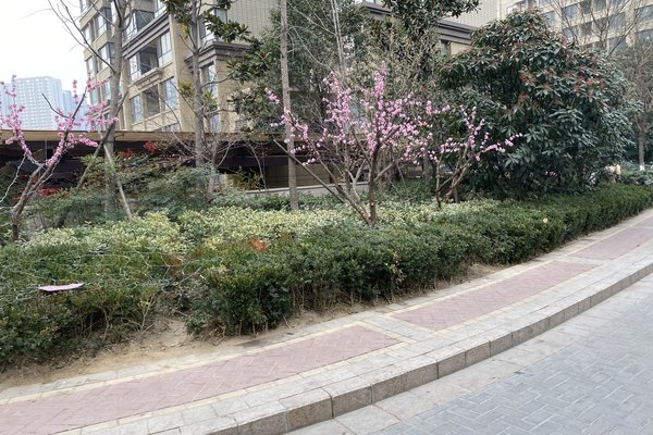 不足,冯庄小区怎么样,冯庄小区周边房产中介经纪人评价-郑州安居客