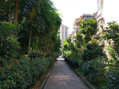 不足,天远红树湾怎么样,天远红树湾周边房产中介经纪人评价-泸州安居