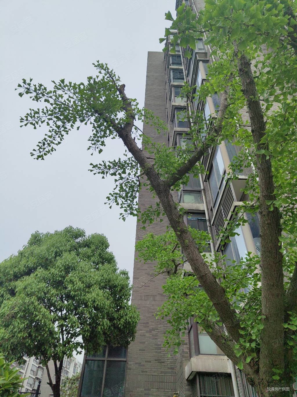 越湖名邸4号线地铁口