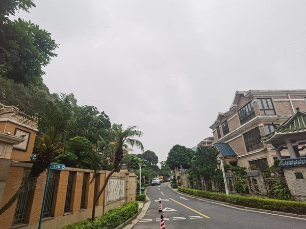 广州番禺华南碧桂园华南碧桂园映翠桃园华南碧桂园 半山独立别墅