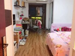 宜昌西陵步行街押一付一 解放路 步行街 紫晶城园筑精美一室一厅拎包入住出租房源真实图片