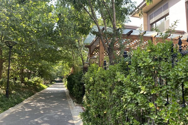 合景领峰(别墅)