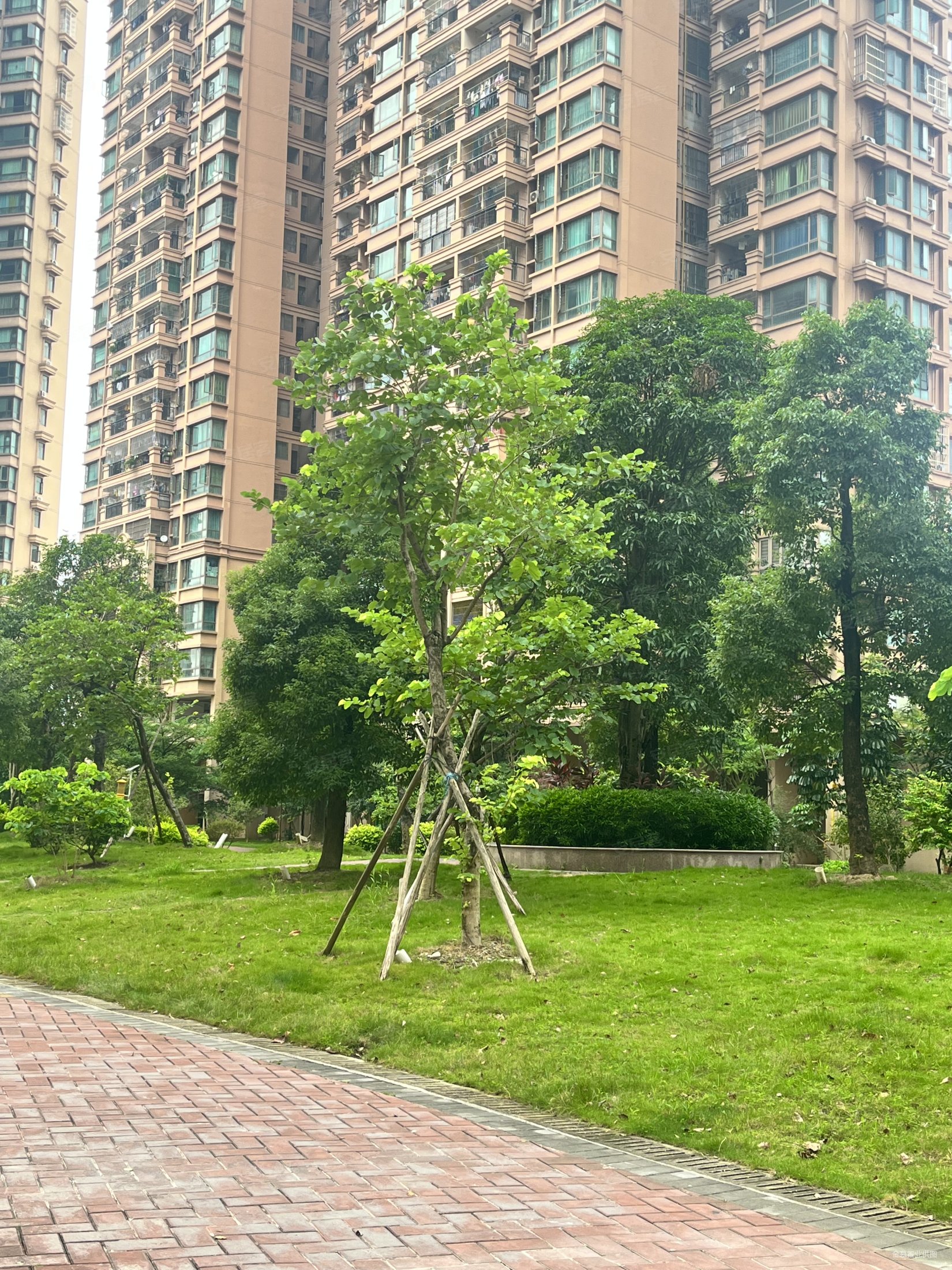 送家电,红日山湖二手房,62万,3室2厅,2卫,89平米-南宁安居客