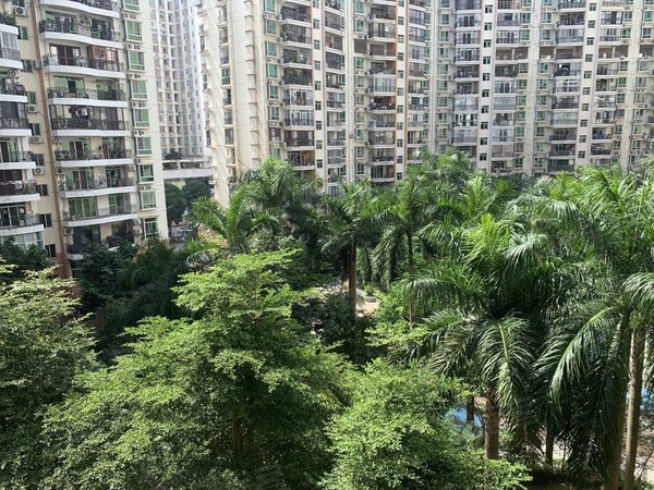 【多图】中天世纪花园,长湖路租房,近地铁 押一付一 精装 性价比高,青