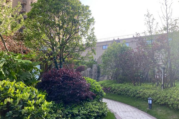 宣城小区 广德小区 百大购物中心小区 天玺公馆