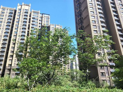 济南小区 市中小区 王官庄小区 泉景天沅秀园 泉景天沅秀园怎么样