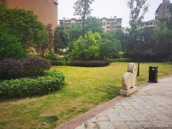 重庆合川钓鱼城街道花滩国际新城花漫里花滩花漫里精装洋房出租出租