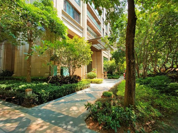 深圳福田香蜜湖香蜜湖九号大院政策在变,服务不变,好房不等人,如若