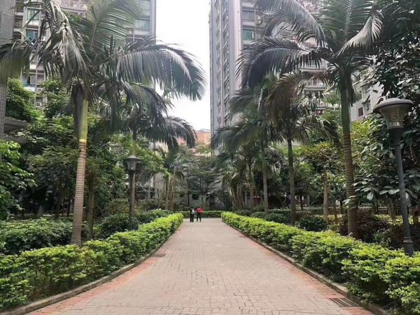 【多图】恒源花园,沙井租房,沙井京基百纳附近,精装三房两卫全齐出租