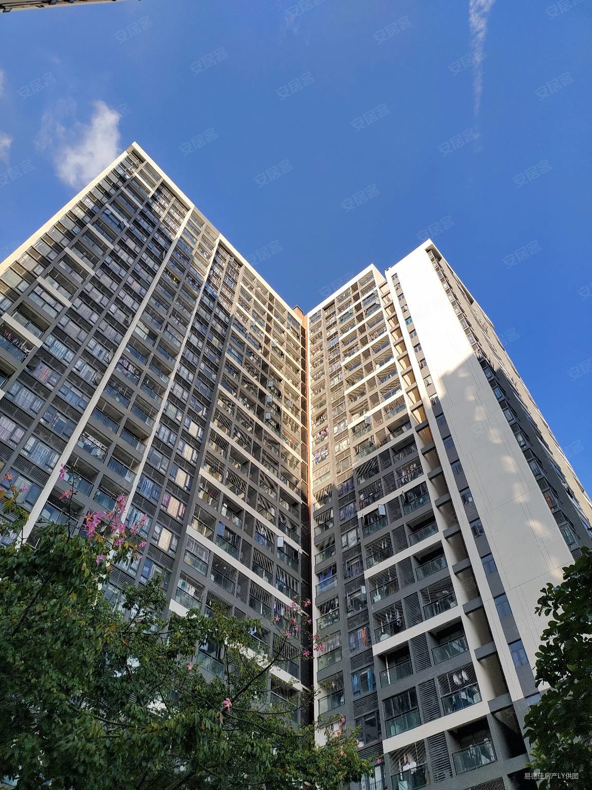 中洲同创公寓演达路1号1室1卫2639平方米