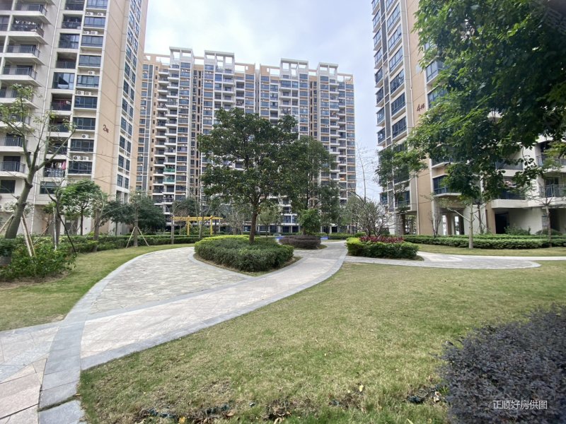 时代山湖海六期 送车位 一线海景房 全新未住 南北通透