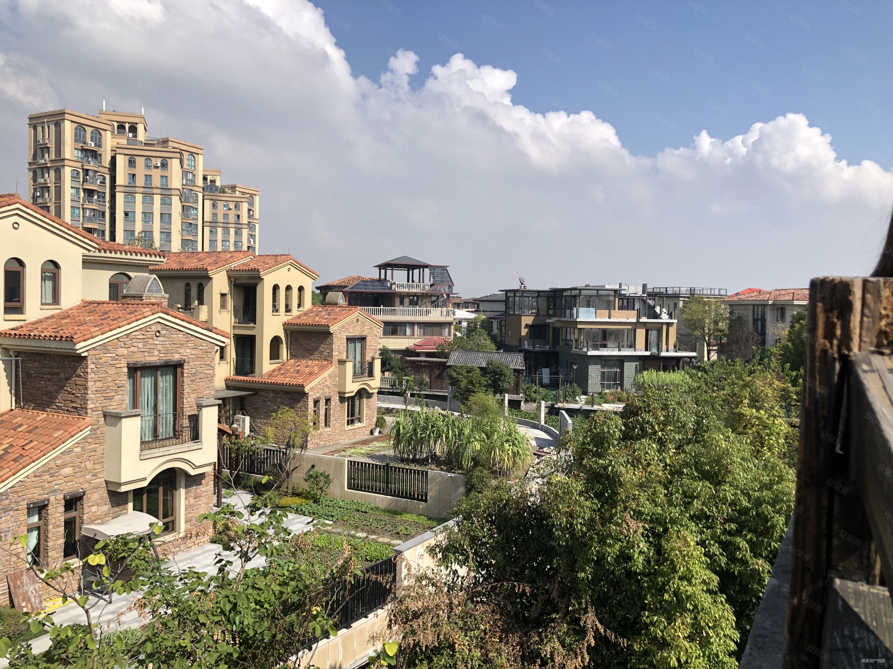 锦豪地产 星星港湾精装修排屋毛坯价格 毛坯价格 夹边套