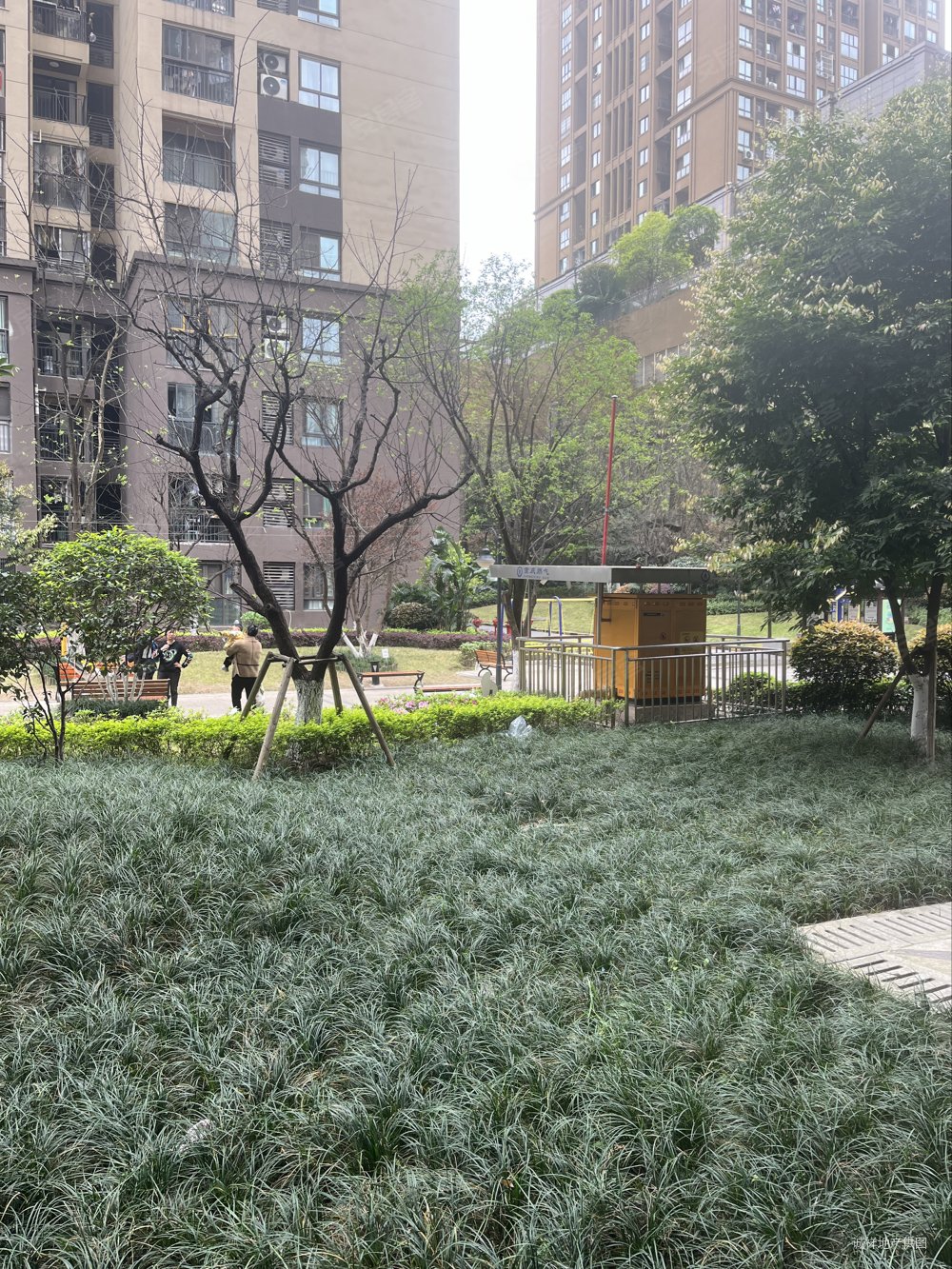 重庆房产网>重庆二手房>九龙坡二手房>盘龙二手房>联发欣悦>1000_1333