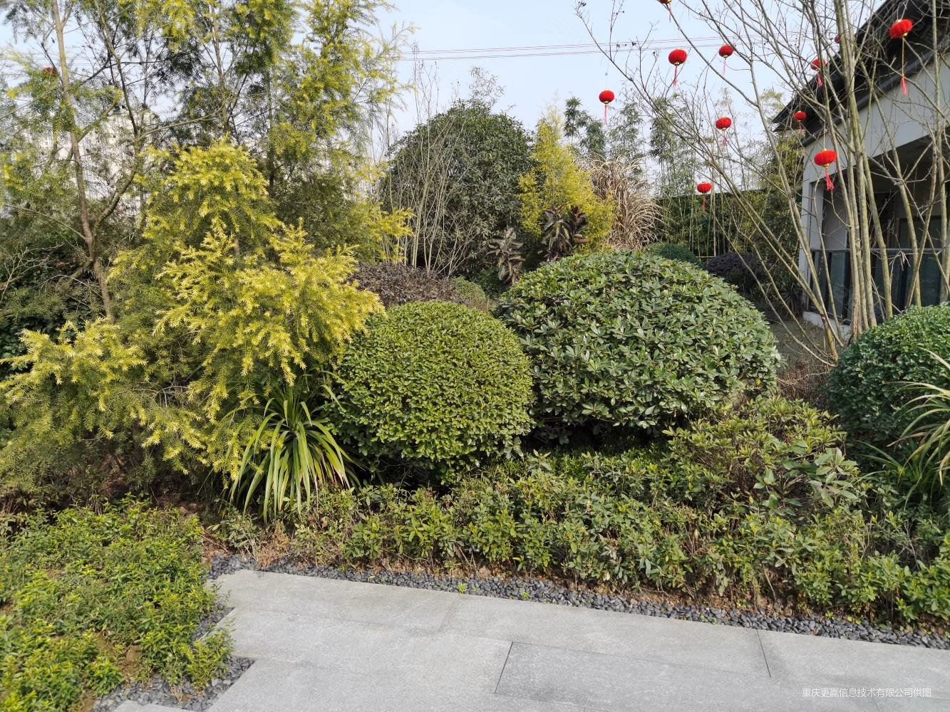 茶园 刘家坪 保利堂悦 叠拼 带花园露台 户型好 价格美丽