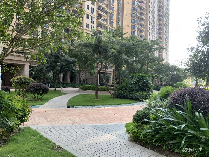 碧桂园天麓山二期