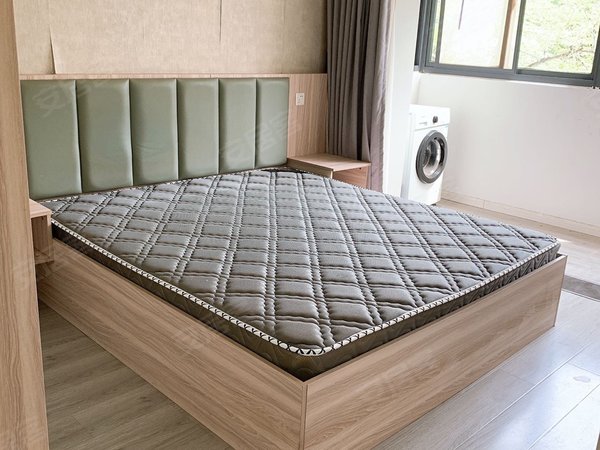 常府街地铁太平商场八一医院cfc广场棉鞋营朝南主卧阳台采光好