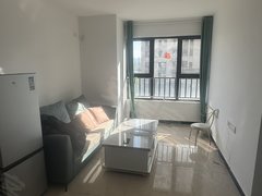 保定莲池东湖公园未来石万达小米支点附近一室一厅一厨一卫，采光特别好拎包入住出租房源真实图片