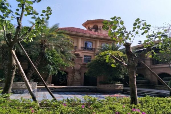 融信大卫城a区(别墅)