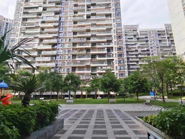 深圳南山大学城崇文花园崇文花园 2室2厅1卫 精装修 电梯房 南北通透