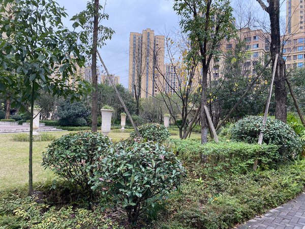 【多图】渝开发格莱美城三组团,西永租房,(精装好房)格莱美城 精装修