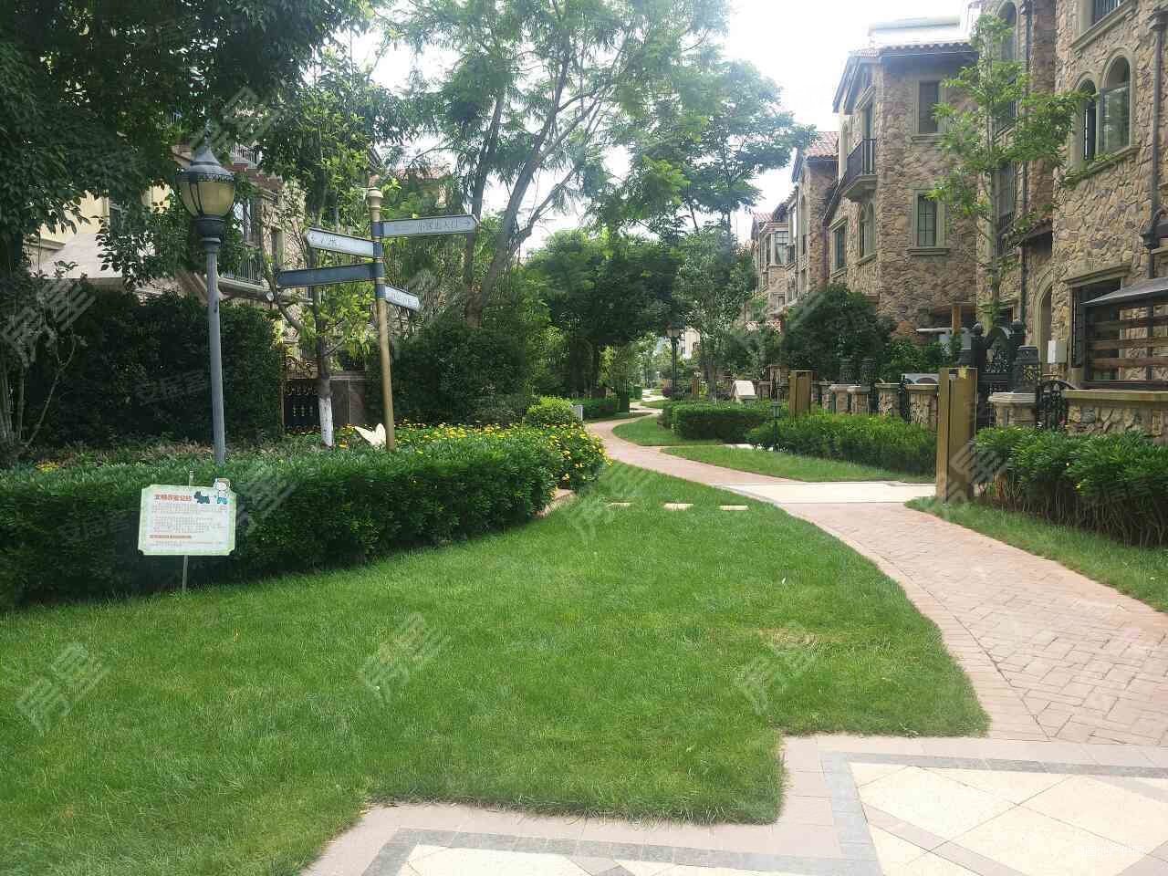 公园1903蒙塔溪 206平 5室 443万