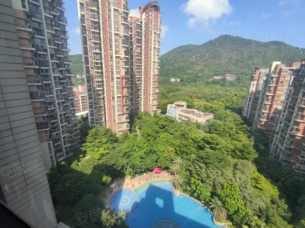 深圳南山前海中海阳光玫瑰园5号线荔湾地铁,精装三房,安静看南山,正对