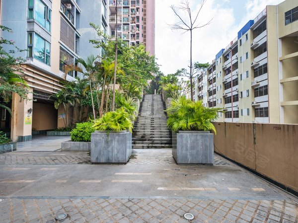 深圳龙华龙华丹枫雅苑新华中学旁 高楼层  视野开阔  精装一房一厅