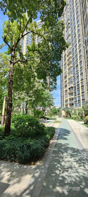 业主承担所有税费不靠路朝南看花园购灏景湾大三房