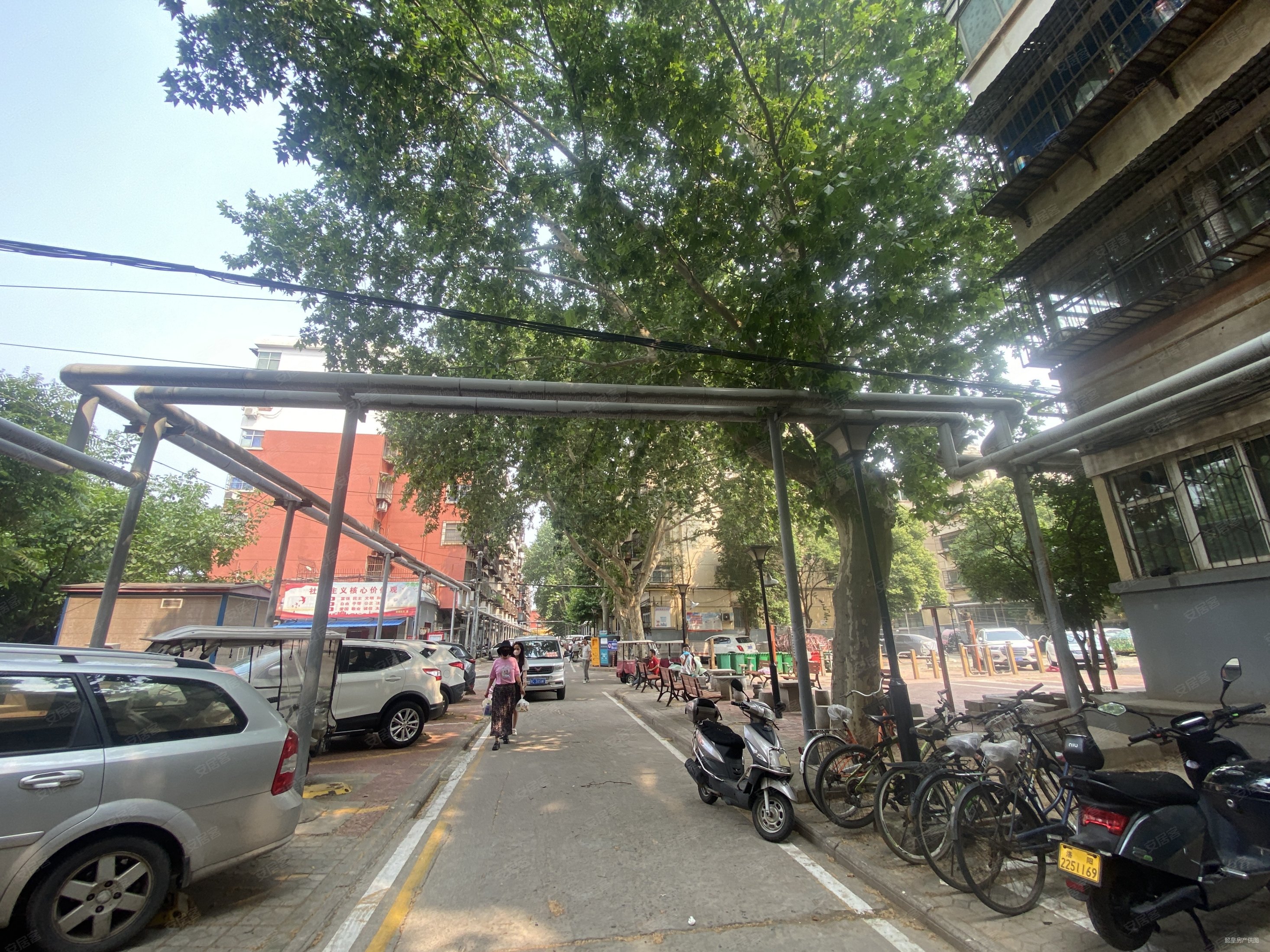 全明东户 景小 东升二中 南北通透 两室 洛铜034街坊,洛铜零三四北区