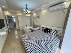 上海浦东世博精装修一房一厅，87耀华路站，看中价格好谈，拎包入住。出租房源真实图片