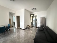 永州祁阳祁阳城区海湘九樾府 2室2厅1卫 豪华装修 电梯房 南北通透出租房源真实图片