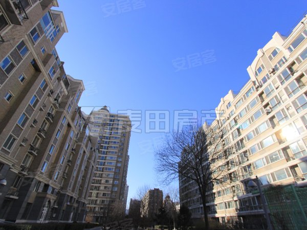 北京朝阳大望路金港国际3室2厅  金港国际出租房源真实图片