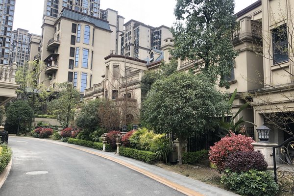 炜岸城(别墅),驿都西路3666号 - 成都炜岸城(别墅)二手房,租房,房价