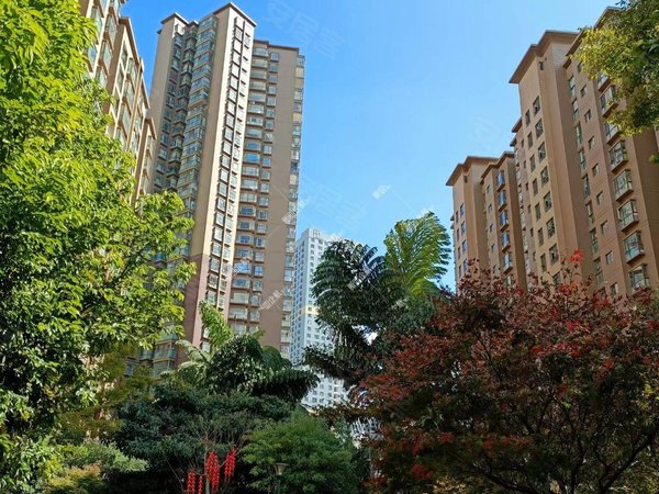 【多图】丽水雅苑,江东花园租房,羊肠村地铁口 精装3房 东南朝向 看房