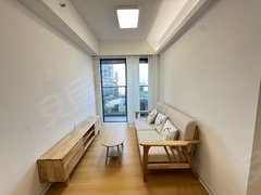 深圳龙岗坂田实拍经典2房 5号线坂田站D出口 全齐家电拎包入住 ！出租房源真实图片