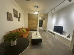 贵阳南明花果园中央商务区漂亮一室一厅,一手房源无中介,家电齐全拎包入住出租房源真实图片