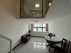 合肥新站陶冲湖新站广场精装修loft两室采光好朝南近京东方维信诺出行方便出租房源真实图片