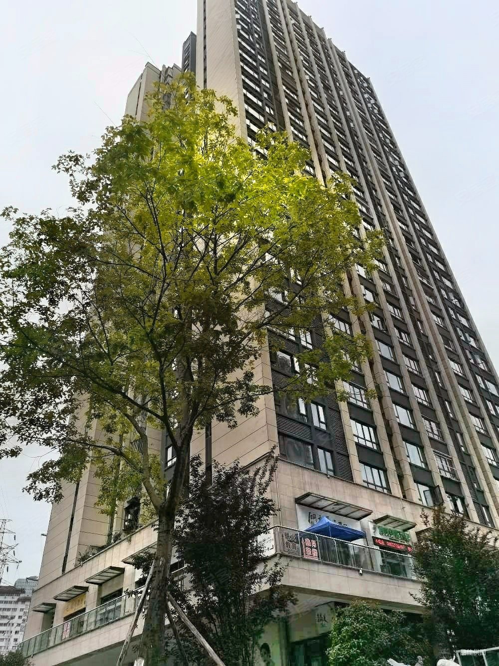 重庆房产网>重庆二手房>万州二手房>万州区观音岩二手房>鸿鸥未来城>
