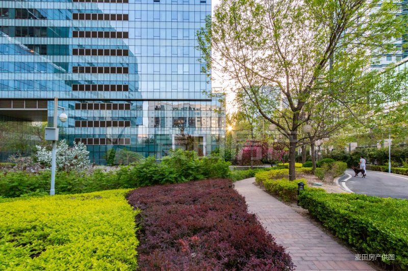 区经力荐 三里屯好房 瑞安君汇 小区性比价2居 随时看