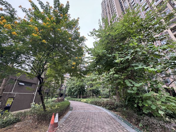 佛山南海金融高新区中海锦城出租 中海锦城  精装三房 带家私电 拎包