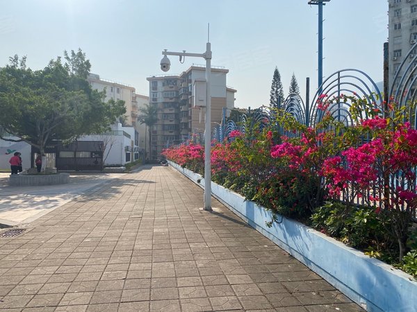 深圳福田莲花村莲花二村莲花中学旁边三房两厅全新装修免费用租赁合同