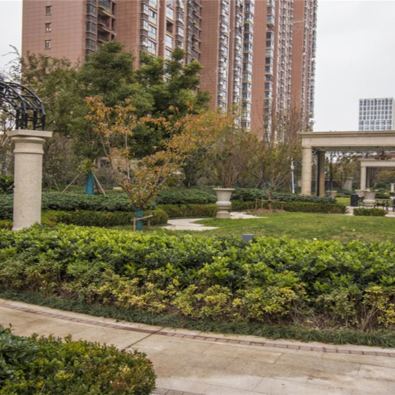 距离地铁一号线1200米 小区周边配套日渐成熟车位紧张 距离凯德广场